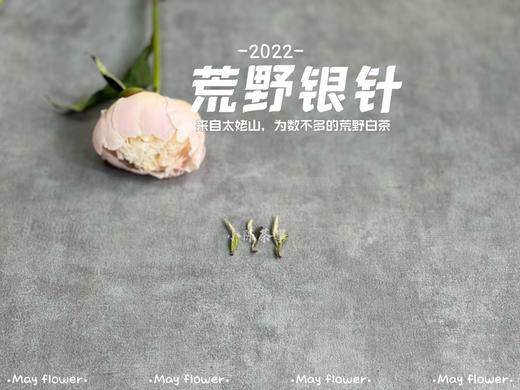 更野、更鲜、更香，荒野之花2022荒野银针攒着鲜花和翠叶的梦（50克罐装） 商品图7