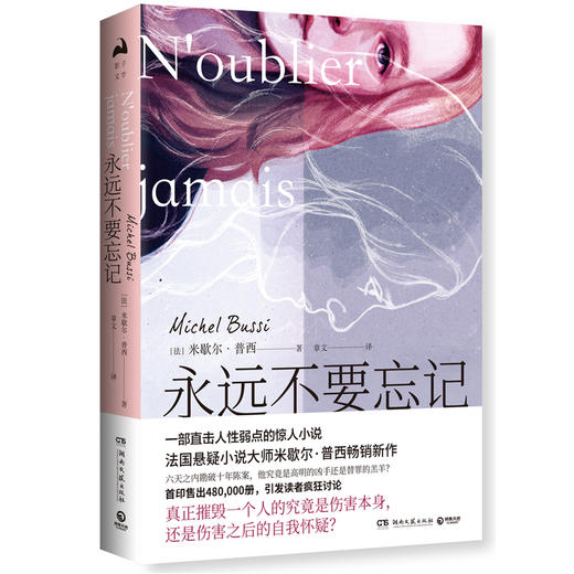 (仓发) 永远不要忘记：法国悬疑小说大师 米歇尔·浦西 畅销新作！/湖南文艺出版社/米歇尔·普西（Michel,Bussi）/9787540492168 商品图0