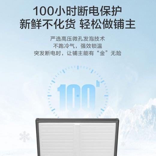 【特惠】【冷藏冷冻同时用】海尔（Haier）冰柜双温柜大容量冷藏冷冻门双温区冷柜商用家用双温大冷柜 FCD-311LHKPT冷藏152升+冷冻159升 商品图5