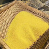 沂蒙山黄小米5斤小米农家自种鲜米能熬出油的粗粮 商品缩略图8