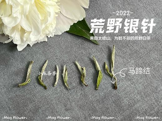 更野、更鲜、更香，荒野之花2022荒野银针攒着鲜花和翠叶的梦（50克罐装） 商品图4