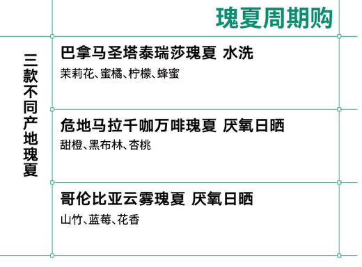 【瑰夏 周期购】3包瑰夏手冲咖啡豆 1包/月*3个月  顺丰包邮 商品图1