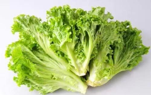 【每周换新】南京普朗克有机蔬菜【随心组合5斤或9斤装】 商品图9