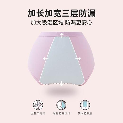 3部 顶瓜瓜 香甜草莓生理内裤 DTZNK-AO6819 商品图2