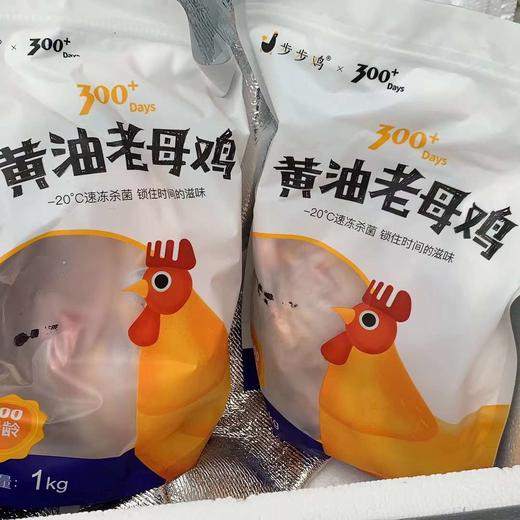 黄油老母鸡约1100g/只(上下浮动约100g) 商品图1