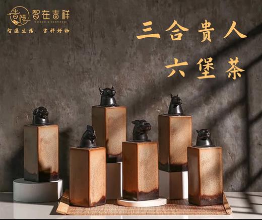 【智在吉祥】特别呈现——贵人六堡茶 商品图0