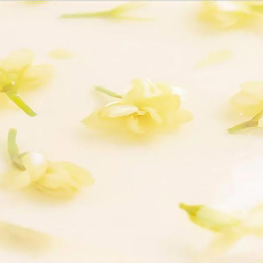 Jasmine Raisins  茉莉青提 商品图1