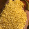 沂蒙山黄小米5斤小米农家自种鲜米能熬出油的粗粮 商品缩略图4