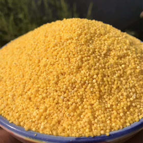 沂蒙山黄小米5斤小米农家自种鲜米能熬出油的粗粮