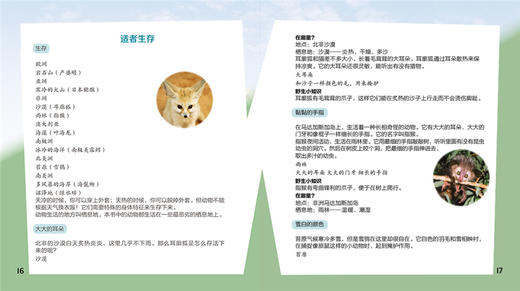 (仓发) 丽声英语百科分级读物 第九级(套装共6册 点读版 附MP3光盘1张)/外语教学与研究出版社/[澳]克丽丝蒂·汉密尔顿（Kirsty Hamilton）/9787513586146 商品图7