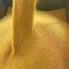 沂蒙山黄小米5斤小米农家自种鲜米能熬出油的粗粮 商品缩略图1