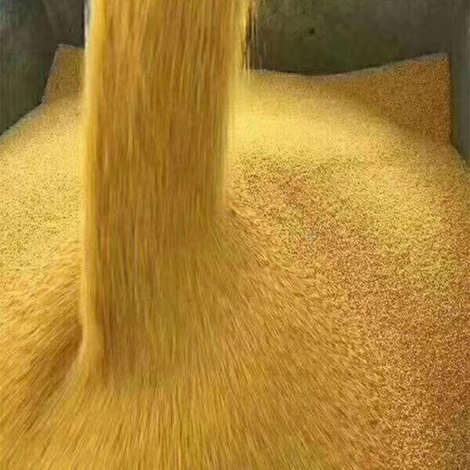 沂蒙山黄小米5斤小米农家自种鲜米能熬出油的粗粮 商品图1