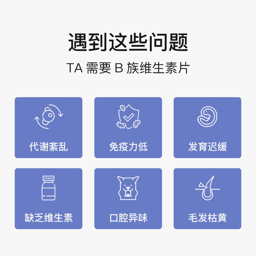 盖夫双层蓝莓B族维生素片犬用抗氧化衰老维持机体健康增强免疫力 商品图2