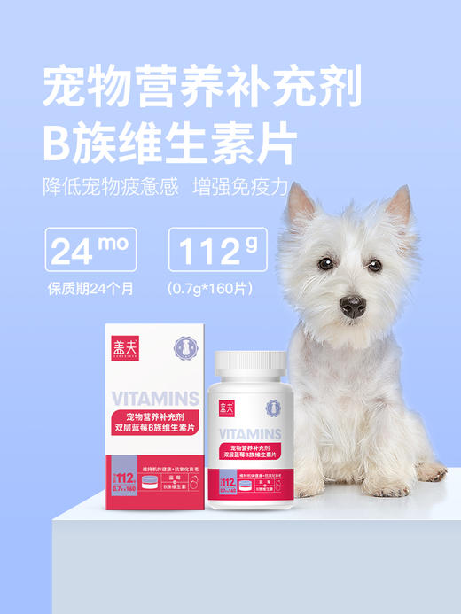 盖夫双层蓝莓B族维生素片犬用抗氧化衰老维持机体健康增强免疫力 商品图1