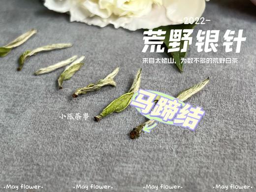 更野、更鲜、更香，荒野之花2022荒野银针攒着鲜花和翠叶的梦（50克罐装） 商品图5