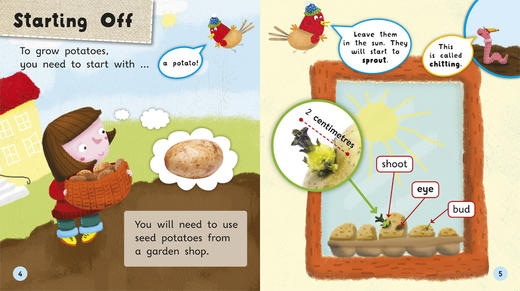 (仓发) 丽声英语百科分级读物 第五级(套装共6册 点读版 附MP3光盘1张)/外语教学与研究出版社/[英]伊莎贝尔·托马斯（Isabel Thomas）/9787513586016 商品图6