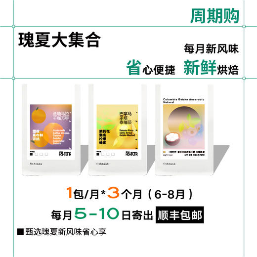 【瑰夏 周期购】3包瑰夏手冲咖啡豆 1包/月*3个月  顺丰包邮 商品图2