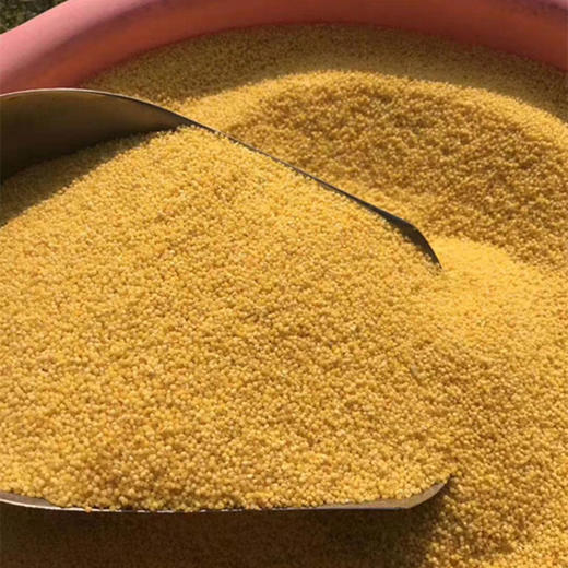 沂蒙山黄小米5斤小米农家自种鲜米能熬出油的粗粮 商品图6