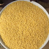 沂蒙山黄小米5斤小米农家自种鲜米能熬出油的粗粮 商品缩略图7