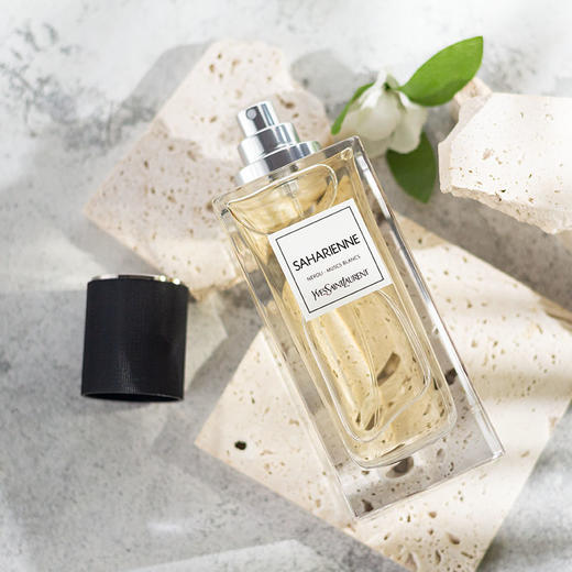 YSL 圣罗兰 高定衣典系列 狩猎装 Yves Saint Laurent Saharienne 分装 商品图6