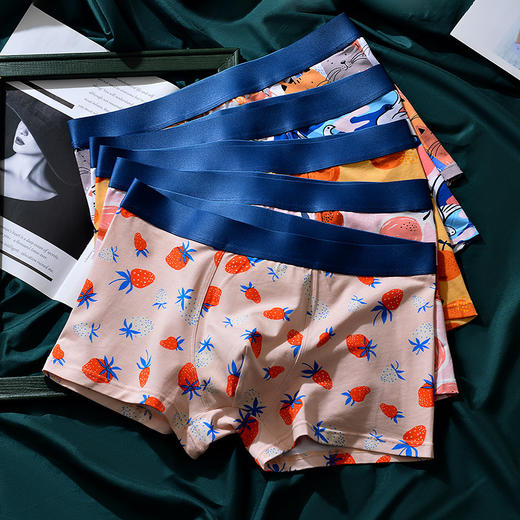 XY-1202  【1条】柿柿如意水果印花男士内裤中腰抗菌透气莫代尔棉内裤男生裤头 商品图0