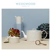 【6F】WEDGWOOD威基伍德金色马克杯欧式骨瓷咖啡茶水家用杯子 商品缩略图2