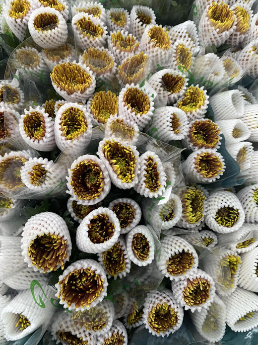 安娜菊-拉红 10支/扎 商品图8