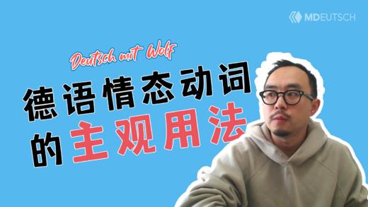 德语情态动词的主观用法 商品图0