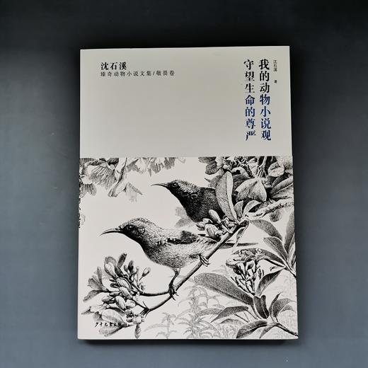 (仓发) 沈石溪臻奇动物小说文集 敬畏卷 我的动物小说观 守望生命的尊严/少年儿童出版社/沈石溪/9787558908255 商品图2
