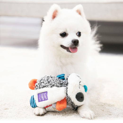 GiGwi贵为狗玩具响纸狮子发声毛绒玩具磨牙洁牙狗狗耐咬解闷玩具 商品图2