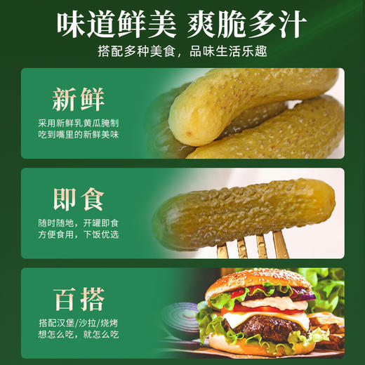 【中欧班列精选】WWJ俄罗斯风味 河马牌酸黄瓜500g/瓶 商品图14