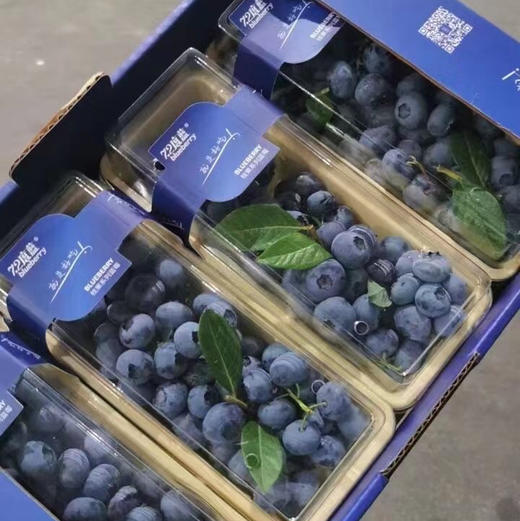 串枝蓝莓 商品图1
