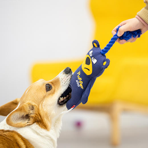 GiGwi贵为狗狗玩具金毛大型犬泰迪幼犬玩具耐咬磨牙玩具狗狗用品 商品图1