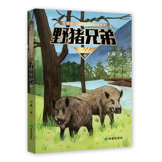 (仓发) 野猪兄弟/希望出版社/王焱/9787537985345 商品图0
