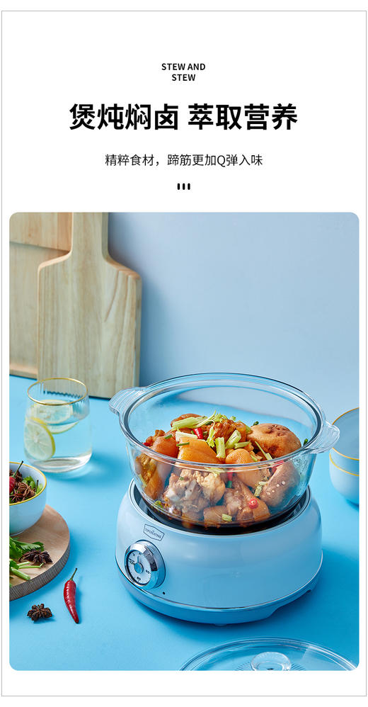 萃取锅E031 商品图5