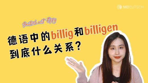 德语中的billig和billigen到底什么关系？ 商品图0