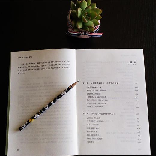 (仓发) 拿得起，还要放得下/金城出版社/王晓烨/9787515515861 商品图5