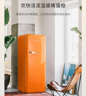 HCK哈士奇 BC-330RDE 281L 烤漆复古冰箱家用单门独立冰柜冷冻冷藏