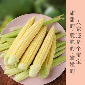 新鲜玉米笋   甜甜的  脆脆的  嫩嫩的