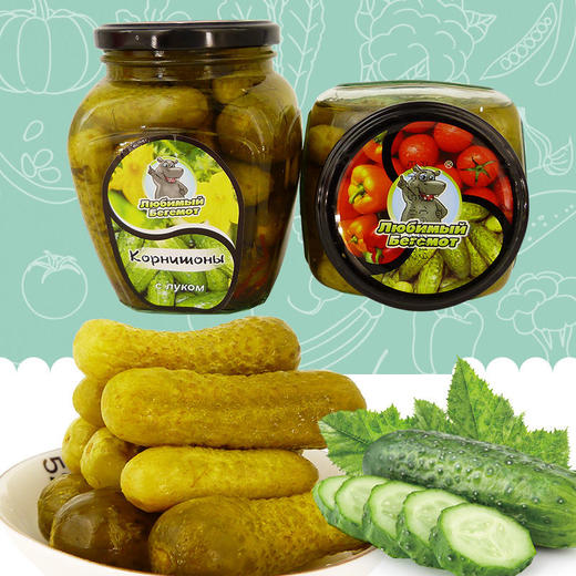 【中欧班列精选】WWJ俄罗斯风味 河马牌酸黄瓜500g/瓶 商品图3