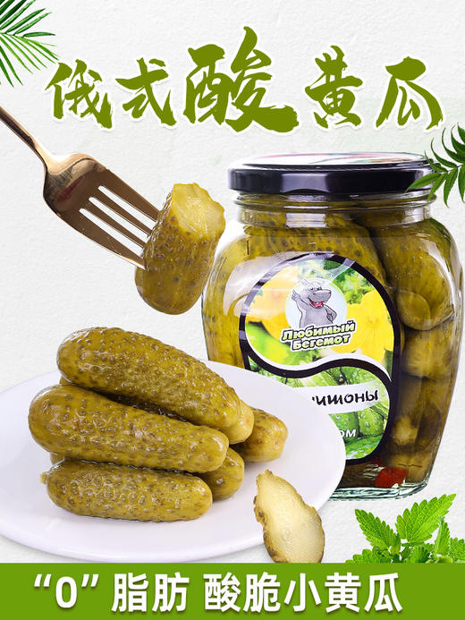 【中欧班列精选】WWJ俄罗斯风味 河马牌酸黄瓜500g/瓶 商品图1