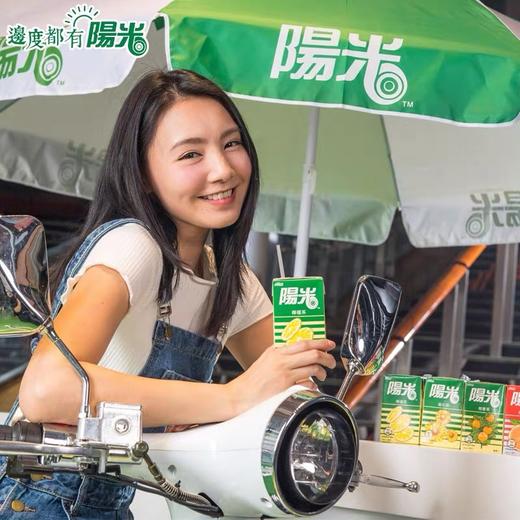 330ml阳光柠檬茶 商品图1