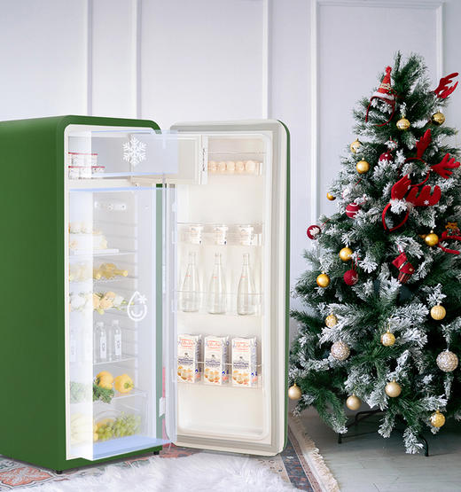 HCK哈士奇 BC-330RDE 281L 烤漆复古冰箱家用单门独立冰柜冷冻冷藏 商品图2