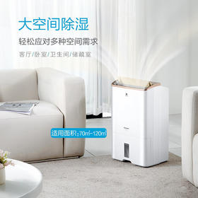 松下（Panasonic） 除湿机/抽湿机 原装进口 干衣大功率 F-WYP46XC【金色标准款-日除湿23L】