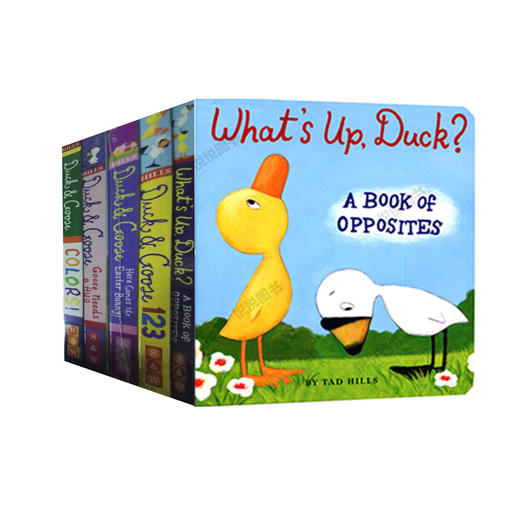 (仓发) 小鸭和小鹅（5册套装）原版进口  Duck&Goose 儿童低幼英文绘本 不伤手 【0-6岁】/Penguin Random House US/9781524730802 商品图0