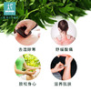 【灸暖】艾草生姜按摩油 去湿除寒舒缓酸痛放松身心滋养肌肤 商品缩略图1