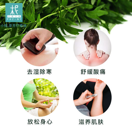 【灸暖】艾草生姜按摩油 去湿除寒舒缓酸痛放松身心滋养肌肤 商品图1