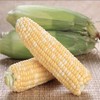 玉米每公斤 商品缩略图0