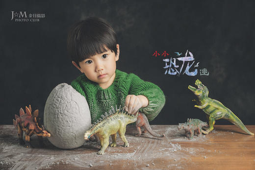 《小小恐龙迷》 商品图1