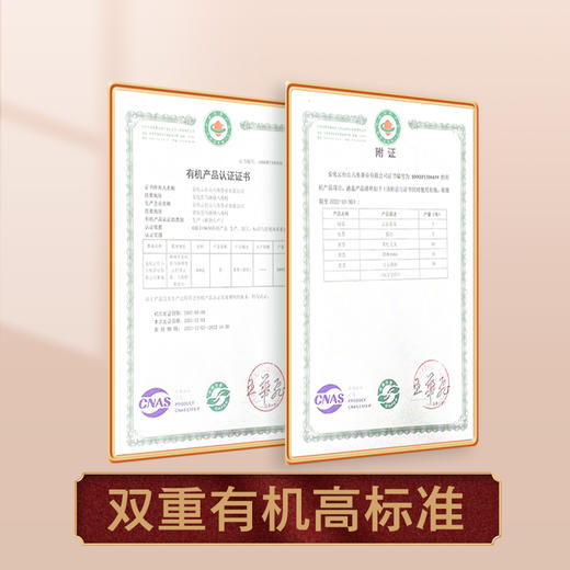 2024新茶高山头春头采60/96g云台金芽 商品图3